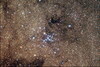 天蝎座的疏散星团M7