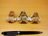 牙齒標本的另類使用方法