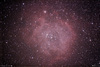 NGC 2244 玫瑰星雲