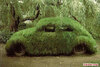 森林中废弃的汽车