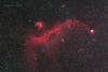  IC2177 海鸥星云